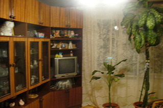 click for enlarge 1920 X 1275 467,6 Kb picture