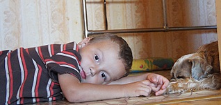 click for enlarge 702 X 335 123,3 Kb picture