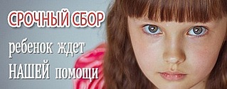click for enlarge 380 X 150  21,7 Kb picture