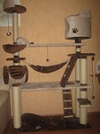 click for enlarge 1920 X 2560 1019,2 Kb picture