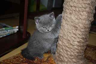 click for enlarge 1920 X 1280 143,5 Kb picture