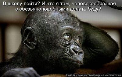 click for enlarge 700 X 445 56,0 Kb picture