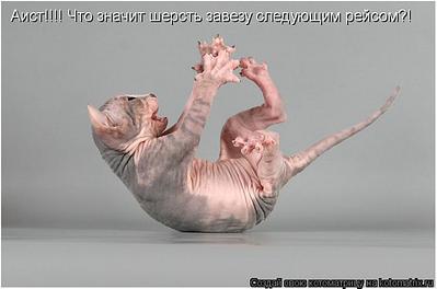 click for enlarge 750 X 496 34,6 Kb picture