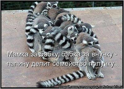 click for enlarge 607 X 438 77,2 Kb picture