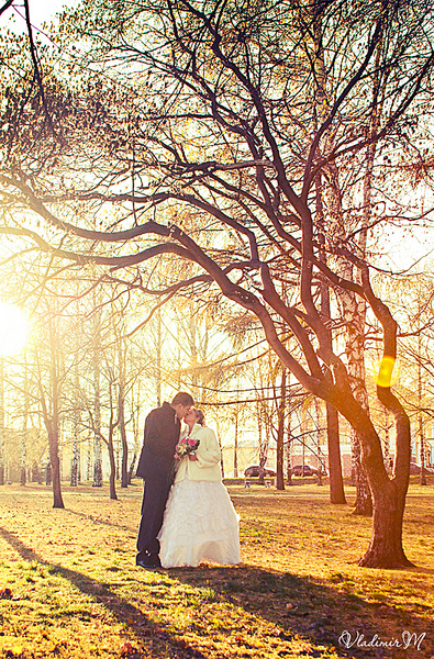 click for enlarge 527 X 800 695,7 Kb picture