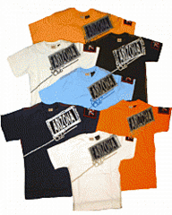 click for enlarge 200 X 250 19,6 Kb picture