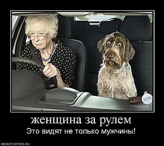 click for enlarge 760 X 679  66,7 Kb picture