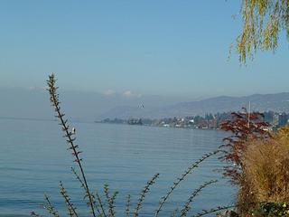 click for enlarge 1024 X 768 90,2 Kb picture