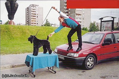 click for enlarge 500 X 330 48,9 Kb picture