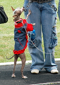 click for enlarge 450 X 640 224,2 Kb picture
