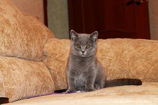 click for enlarge 1920 X 1280 185,3 Kb picture