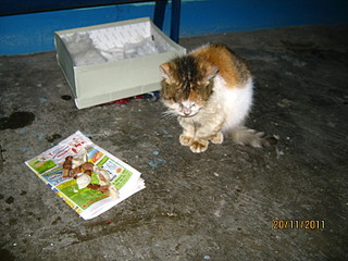 click for enlarge 1600 X 1200 478,7 Kb picture