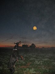 click for enlarge 360 X 480 25,8 Kb picture