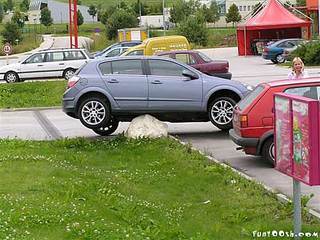 click for enlarge 500 X 375 33,5 Kb picture
