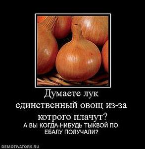 click for enlarge 300 X 307  13,1 Kb picture