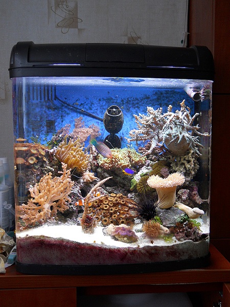 click for enlarge 1200 X 1600 889,1 Kb picture