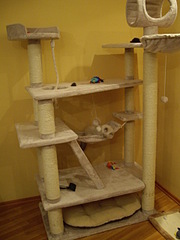 click for enlarge 1920 X 2560 270,7 Kb picture