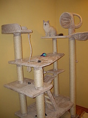 click for enlarge 1920 X 2560 268,4 Kb picture