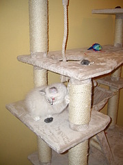 click for enlarge 1920 X 2560 331,1 Kb picture