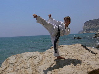 click for enlarge 500 X 375  61,3 Kb picture