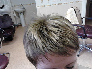 click for enlarge 1920 X 1440 404,5 Kb picture