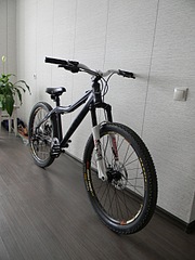 click for enlarge 1920 X 2560 413,0 Kb picture