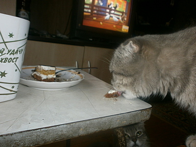 click for enlarge 1920 X 1440 898,2 Kb picture