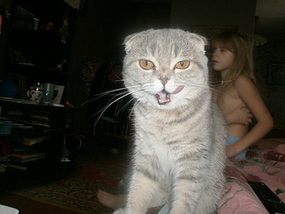 click for enlarge 1920 X 1440 904,5 Kb picture