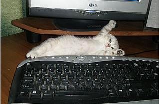 click for enlarge 1384 X 907 181,7 Kb picture