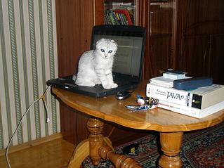 click for enlarge 1229 X 922 184,6 Kb picture