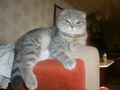 click for enlarge 1920 X 1440 1020,0 Kb picture