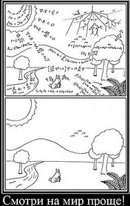 click for enlarge 277 X 438 40,4 Kb picture