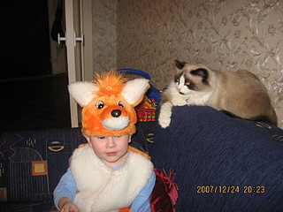 click for enlarge 1600 X 1200 512,8 Kb picture