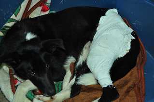 click for enlarge 1200 X 797 58,1 Kb picture