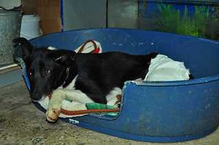 click for enlarge 1200 X 797 64,2 Kb picture