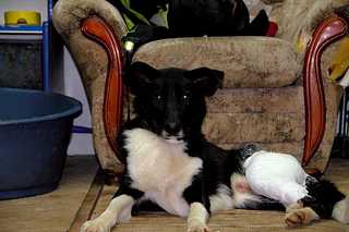 click for enlarge 1200 X 800 75,3 Kb picture