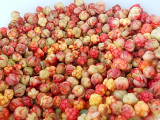 click for enlarge 1920 X 1440 618,5 Kb picture