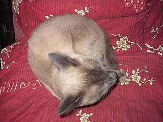 click for enlarge 1600 X 1200 725,6 Kb picture