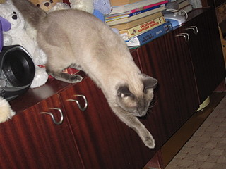 click for enlarge 1600 X 1200 522,1 Kb picture