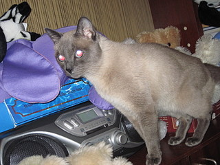 click for enlarge 1600 X 1200 719,0 Kb picture