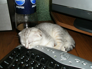 click for enlarge 900 X 675 585,9 Kb picture