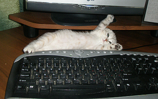 click for enlarge 900 X 567 567,3 Kb picture