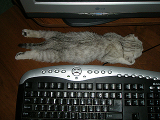 click for enlarge 900 X 675 685,1 Kb picture