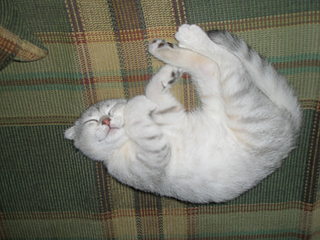 click for enlarge 900 X 675 508,0 Kb picture