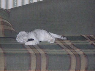 click for enlarge 900 X 675 717,1 Kb picture