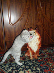 click for enlarge 675 X 900 735,4 Kb picture