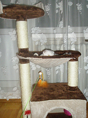 click for enlarge 675 X 900 606,2 Kb picture