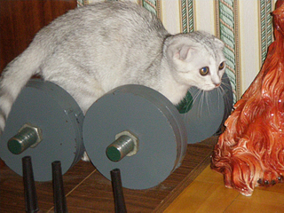 click for enlarge 900 X 675 651,1 Kb picture