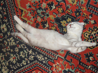 click for enlarge 900 X 675 766,9 Kb picture