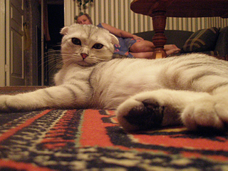 click for enlarge 900 X 675 681,3 Kb picture